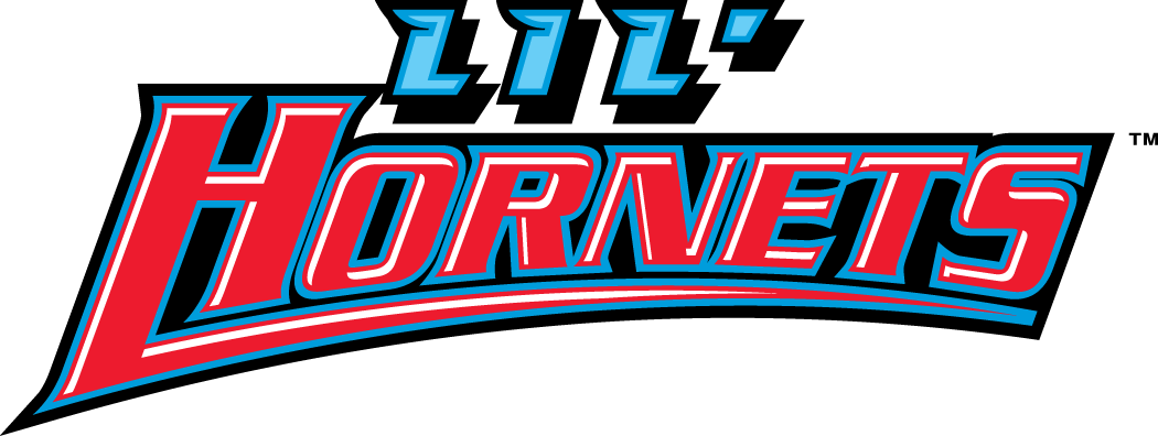 Delaware State Hornets 2004-Pres Misc Logo v3 iron on transfers for clothing